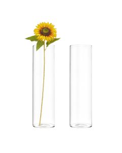glass cylinder vases