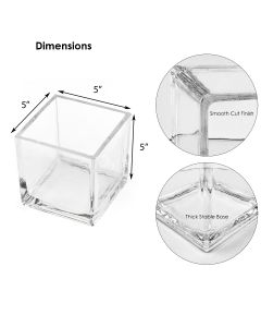 5 inches glass cube vases