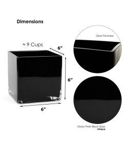glass black cube vases
