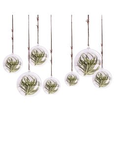 glass terrarium orbs