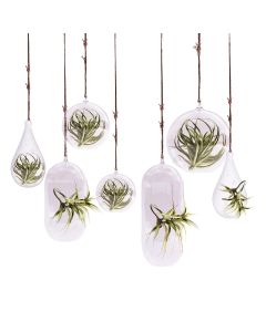 Glass Hanging Plant Terrarium, Tealight Candle Holder (Multiple Size Options)