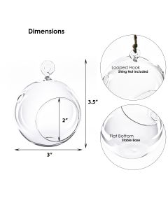 Hanging-glass-plant-terrarium-glass-orbs-gch101-03