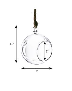Hanging-glass-plant-terrarium-glass-orbs-gch101-03