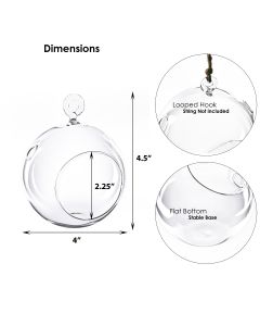 Hanging-glass-plant-terrarium-glass-orbs