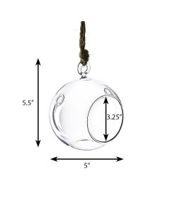 hanging glass terrarium round orbs 