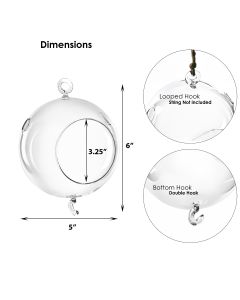 glass terrarium glass orbs