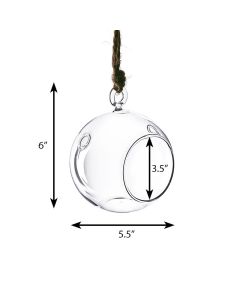 hanging glass terrarium round orbs