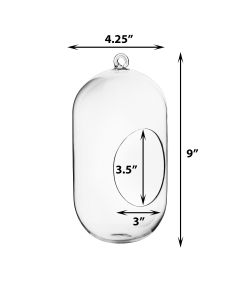 glass hanging terrarium vase