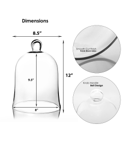 H-12" Glass Cloche Dome Terrarium Bell Jar, Pack of 2 pcs