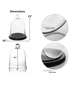 H-13" Glass Cloche Dome Terrarium Bell Jar  w/ Black Wood Base, Pack of 2 pcs