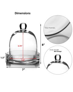 glass cloche dome with glass tray