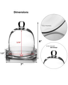 glass cloche dome with glass tray