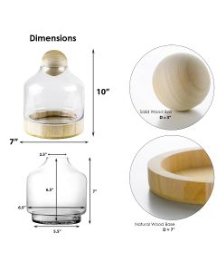 glass terrarium vase with wood stopper