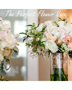 glass cylinder vases