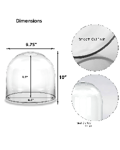 Glass Display Dome Cloche Bell Jar D-10", H-10",15",19" (Multiple Packing)-10 in-Pack of 2