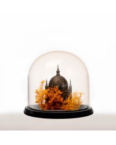 Diameter 10" glass dome cloches with black wood base have multiple height -11",16",20",25",29"