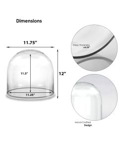Glass Display Dome Cloche Bell Jar w/ Black Wood Base Option -No Base-12 in