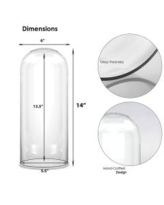 H-14 D-6" inches glass domes cloche
