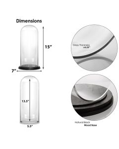 glass cloche dome with wood base