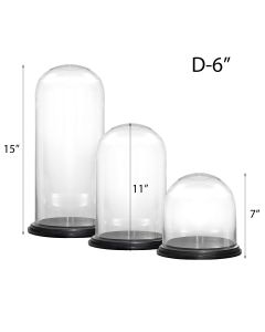 glass dome cloches black brown wood base