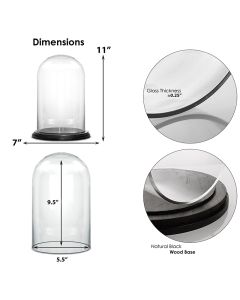 H-17 D-7" inches glass domes cloche with black wood base