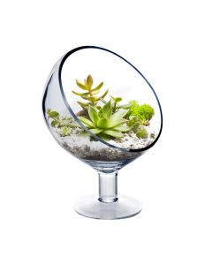 slant cut bowl with pedestal stem