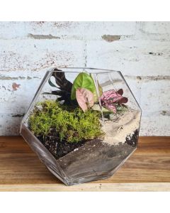 glass geometry terrarium vase