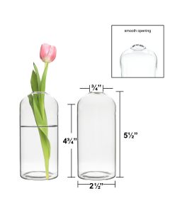 H-5.5" W-2.5" Glass Dome Bullet Bud Vase