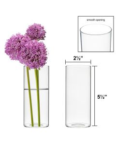 glass cylinder vases