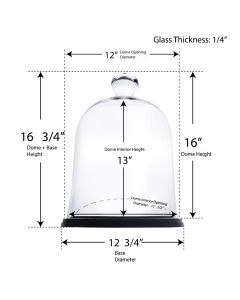 glass cloches dome with wood base display