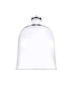 large glass cloches dome display