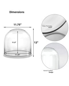 12" x 12" Glass cloches domes display 
