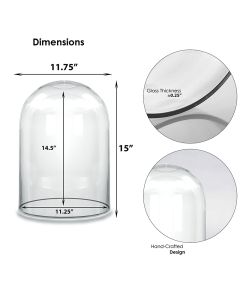 Glass cloches domes display wood base black