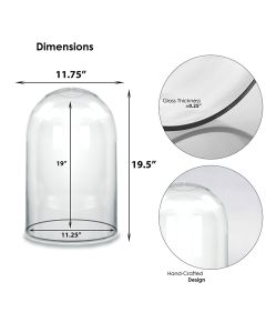 Glass cloches domes display wood base black