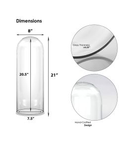 Glass cloches domes display wood base black