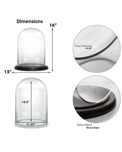 Glass cloches domes display wood base black
