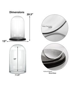 Glass cloches domes display wood base black
