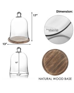 glass dome with brown wood base