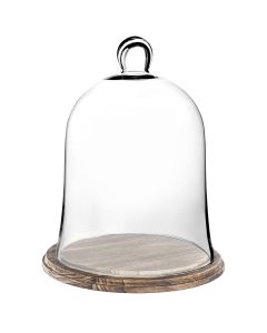 glass dome with brown wood base