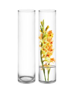 Glass Cylinder Vase. H-26 D-6