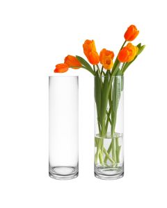 Clear Glass Cylinder Vase