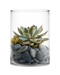 12 inches 6 inches wide glass cylinder vases wholesale