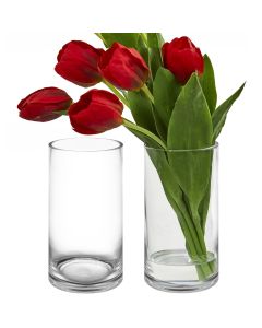 10 inches glass cylinder vase