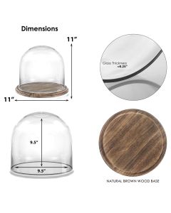 Glass dome with brown burnt base