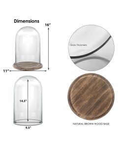 Glass Dome with Burnt Finish Wood Base