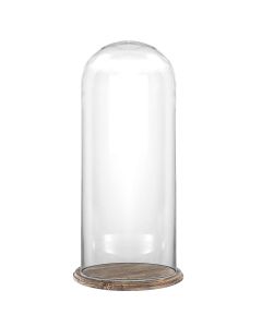 H 19.5" x D 11" glass dome cloche with burnt brown wood base