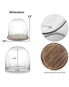 Glass cloches dome with burnt brown wood base 