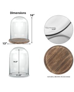 Glass Dome Cloche H-16" D-12" Cover Burnt Wood Base (Multiple Packing)