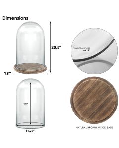 glass dome cloches