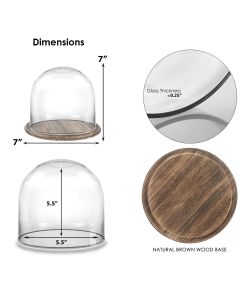 glass dome cloches with Brown Wood base